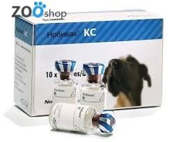 Нобивак KC (Nobivac KC) викцина для собак - MSD Animal Health