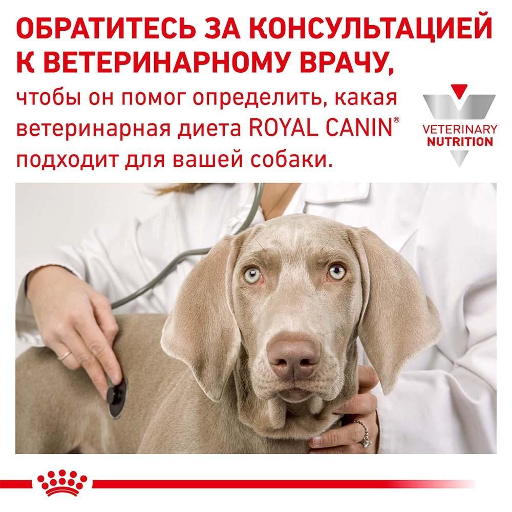 Вологий корм Royal Canin Urinary S / O Moderate Calorie при сечокам'яній хворобі у собак, 100 г