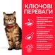 HILL'S SP Adult Sensitive Stomach & Skin Хіллс Сухий Корм для Котів з Куркою - 300 г