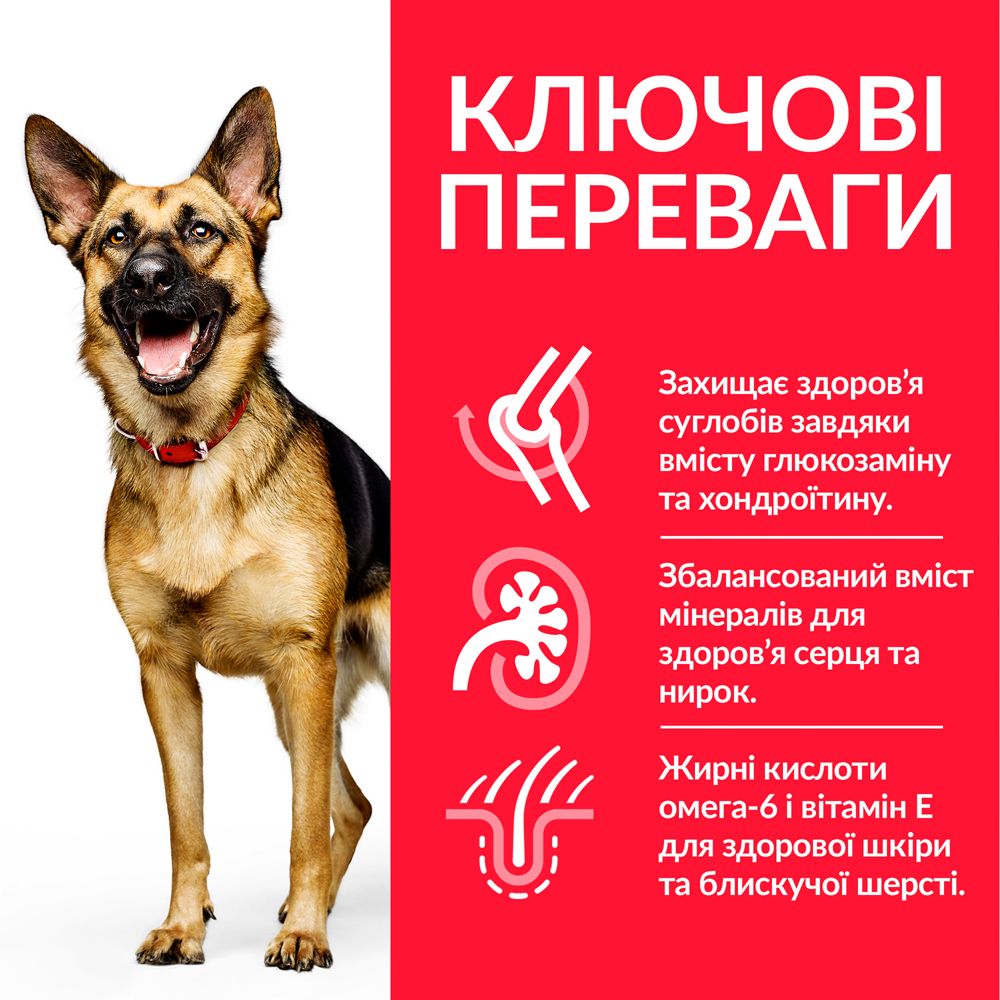 HILL'S SP Mature Adult Large Breed Хіллс Сухий Корм для Літніх Собак 6+ з Куркою - 14 кг