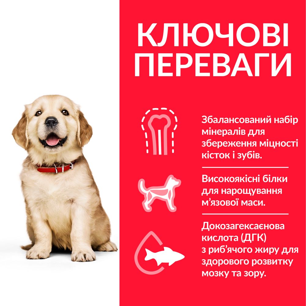 HILL'S SP Puppy Large Breed Хіллс Сухий Корм для Цуценят великих порыд з Куркою - 800 г