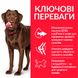 HILL'S SP Adult Healthy Mobility Large Breed Хіллс Сухий Корм для Собак з Куркою - 14 кг